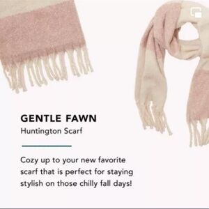 NWT Gentle Fawn Huntington Cozy Warm Colorblock scarf